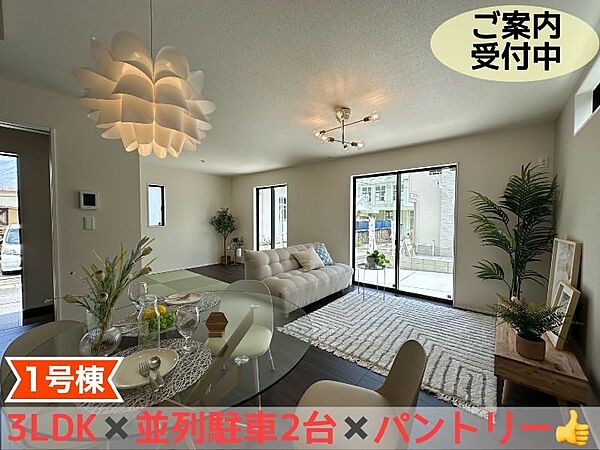 外観：347000078823