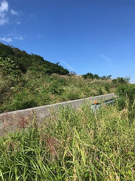 外観：347000066432