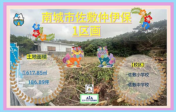 外観：347000075068