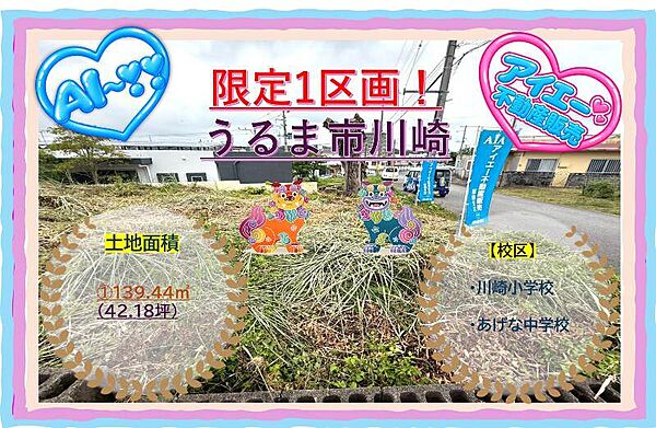 外観：347000078052