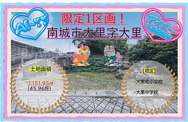 外観：347000085015