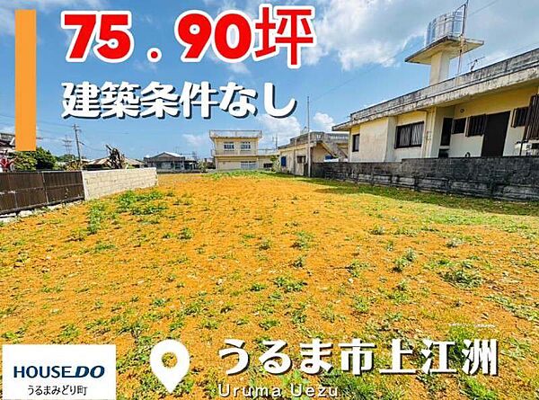 外観：347000075066