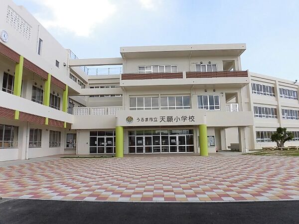 天願小学校