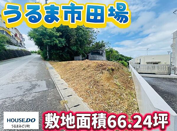 外観：347000087021