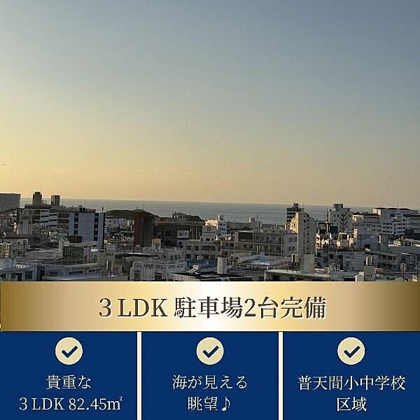 外観：347000076997