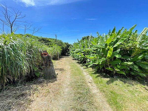 広大な土地と素晴らしい景色を活用してはいかがでしょう