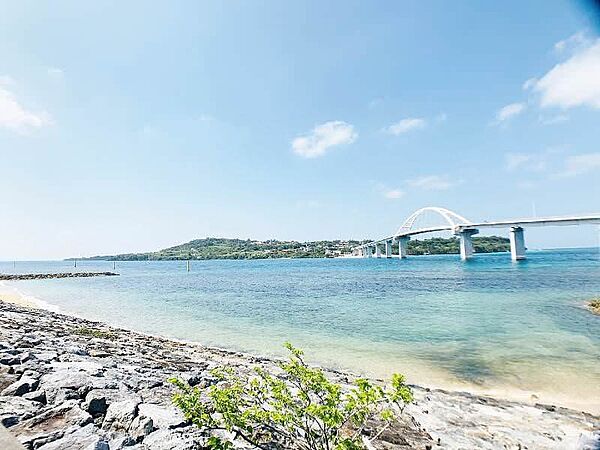 外観：347000064338