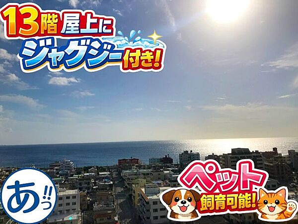 外観：347000077425
