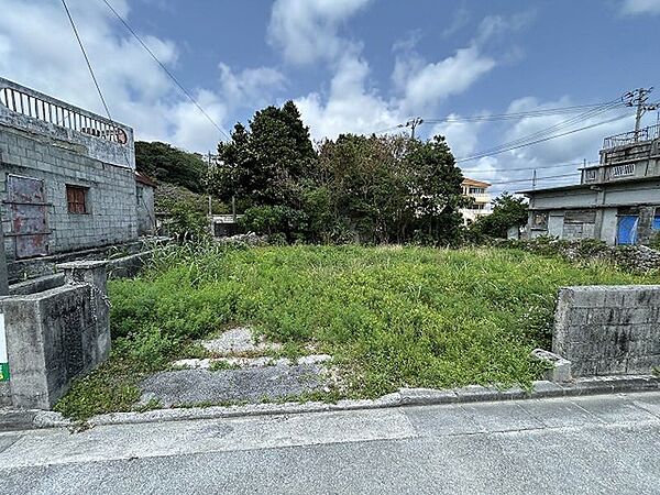 外観：347000073751