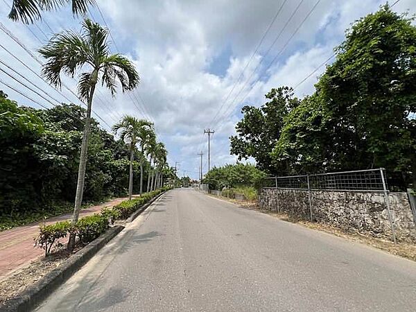 前面道路（観音堂線）