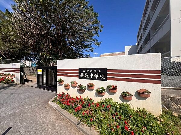 嘉数中学校