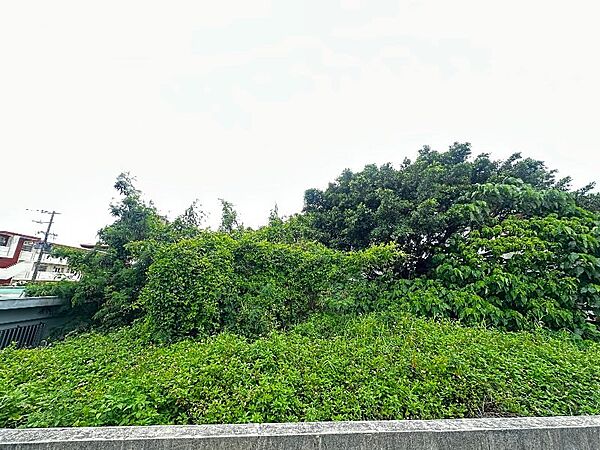 外観：347000078843