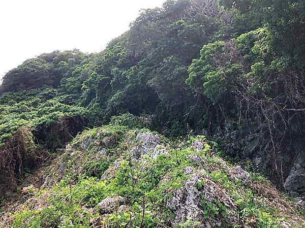 敷地外観