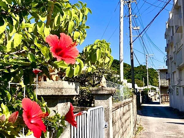 落ち着いた沖縄の雰囲気を感じられるエリアです。