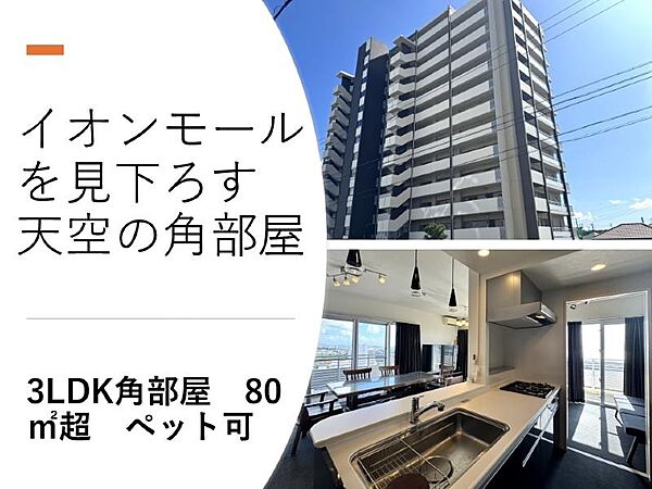 外観：347000067095