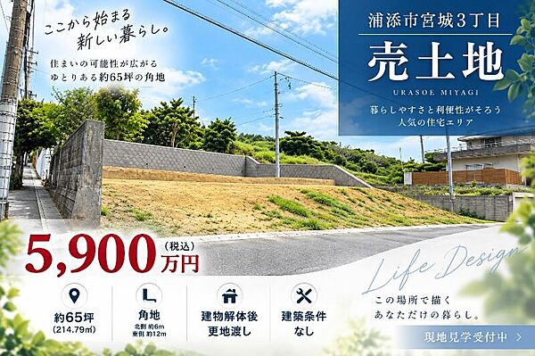 外観：347000086673