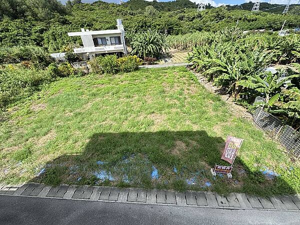 外観：347000069315