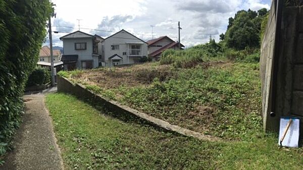 外観：338000012485