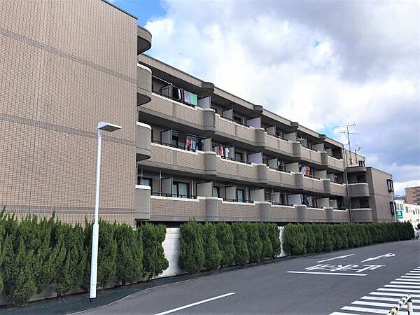 2019年12月撮影