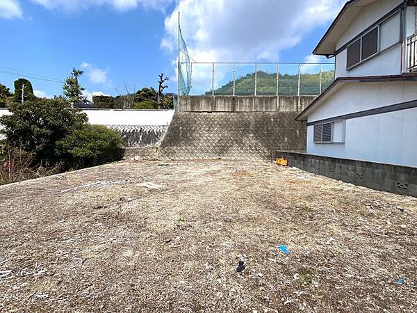 外観：338000025025