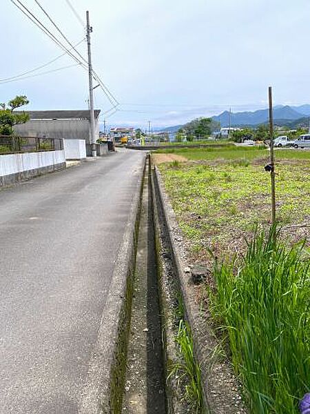 2024年5月撮影