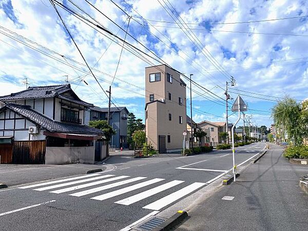 2024年12月撮影