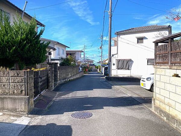 2024年12月撮影