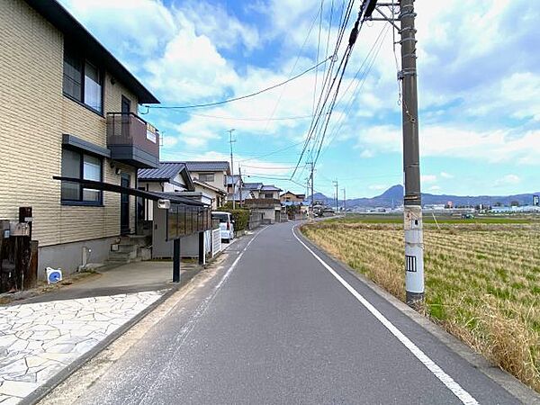 2025年3月撮影