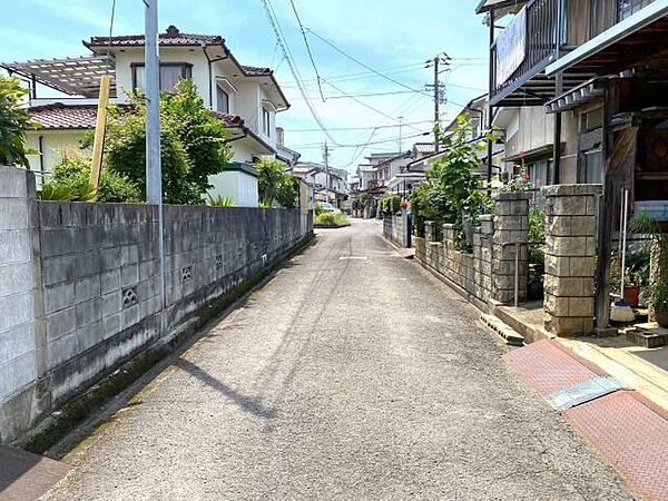 2025年6月撮影