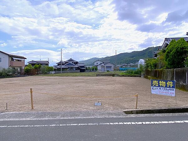 2026年6月撮影