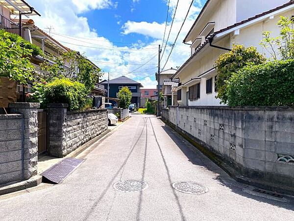 2025年7月撮影(南側道路)