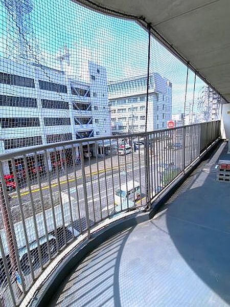 2025年8月撮影