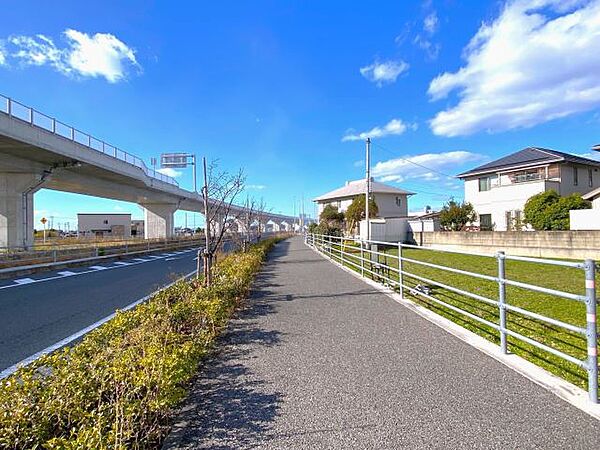2025年12月撮影