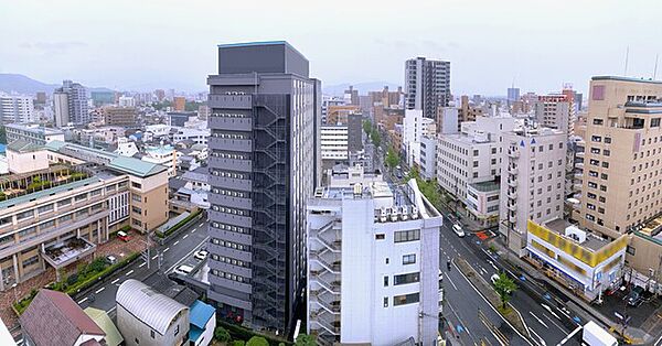 2026年6月撮影