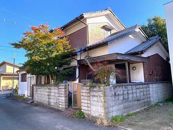 2026年1月撮影
