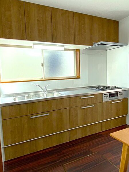 2026年2月撮影