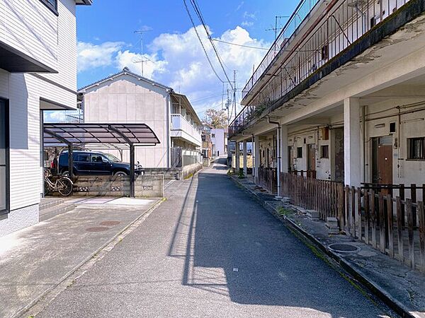 2026年3月撮影