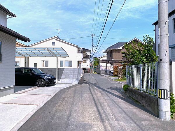 2026年5月撮影