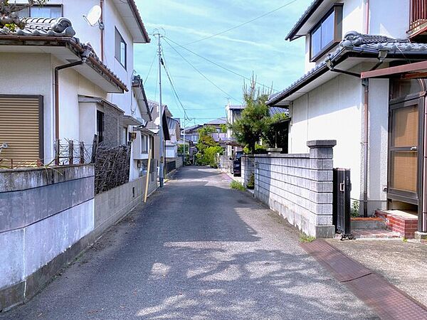 2026年5月撮影