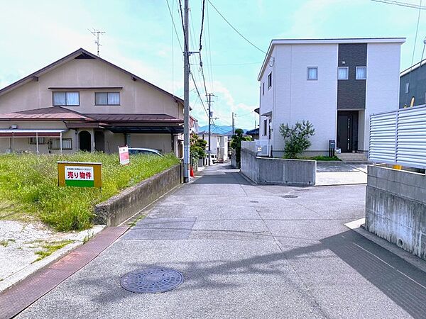 2026年5月撮影