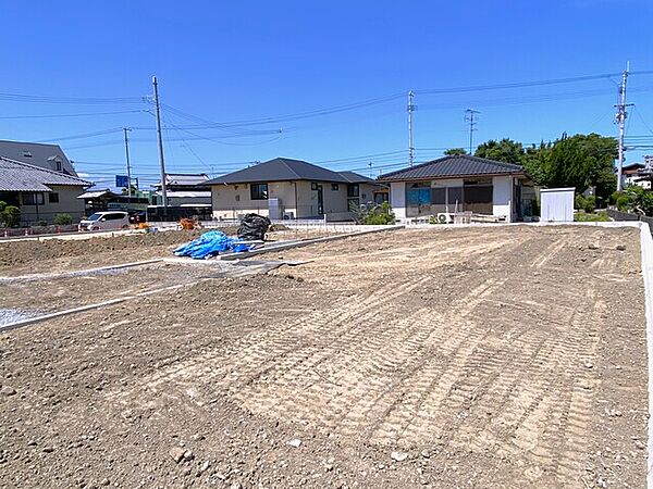2026年7月撮影