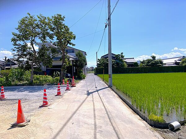 2026年7月撮影