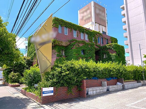 2026年5月撮影