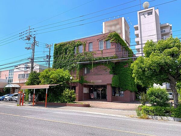 2026年5月撮影