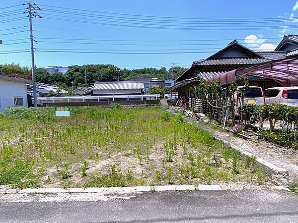 2026年6月撮影