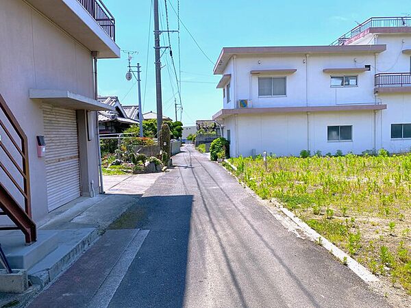 2026年6月撮影