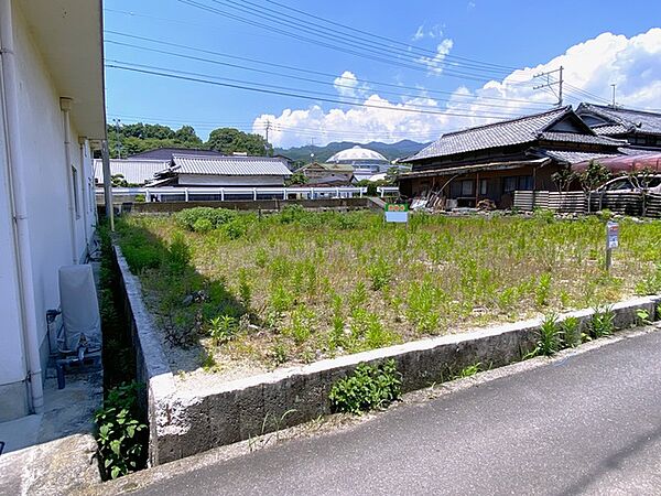 2026年6月撮影