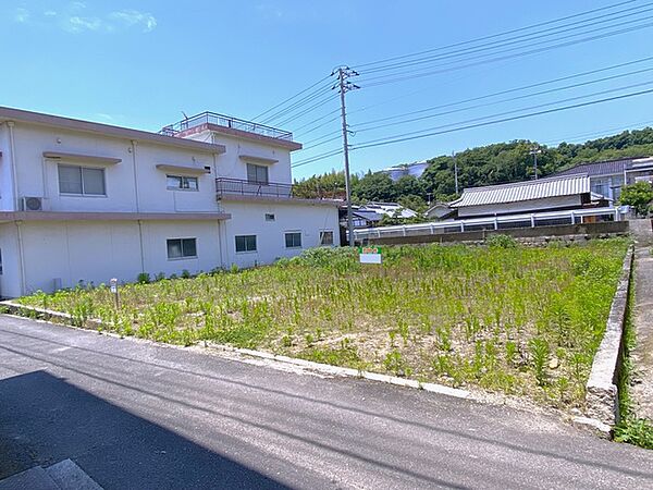 2026年6月撮影