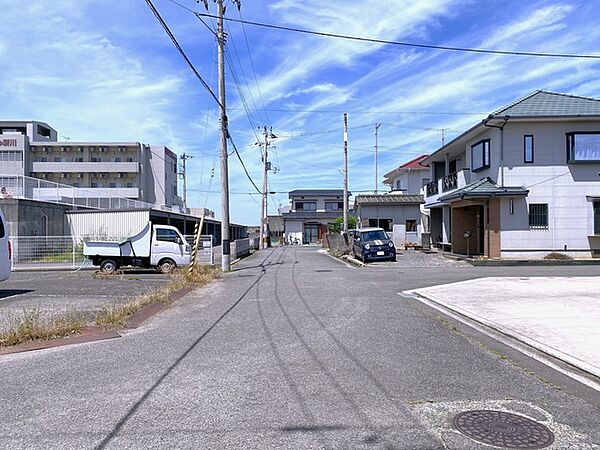 2026年6月撮影