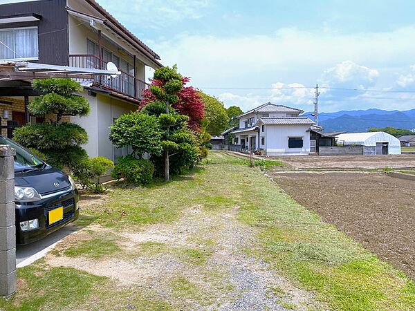 2026年6月撮影
